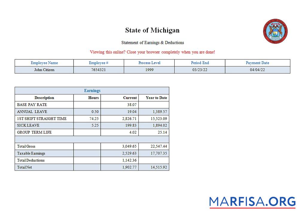 Realistic USA State of Michigan social services company pay stub real example